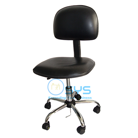ESD Chair 12