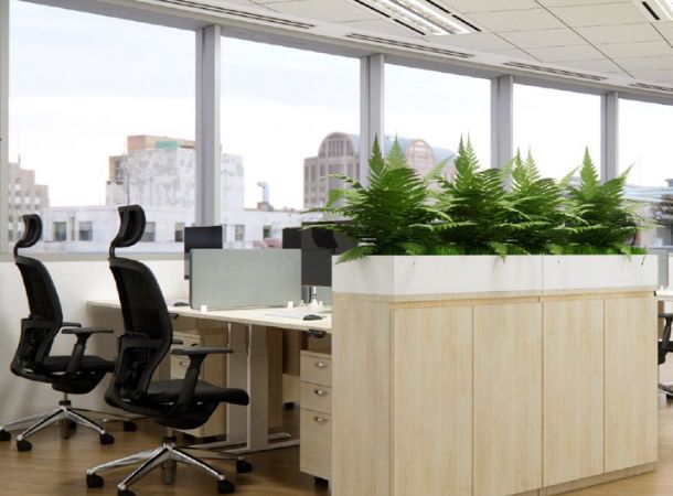 Sustainable & Green Concepts